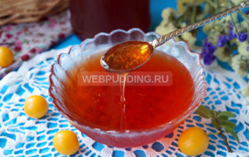 Варенье-желе из алычи